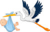 cartoon-stork-carrying-baby-illustration-72975982.jpg