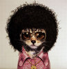 Afro Cat.jpg