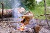 41226639-chicken-roasting-on-make-shift-stick-rotisserie-over-open-camp-fire-in-wilderness-set...jpg