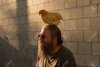 86069183-mature-man-with-beard-and-sunglasses-outdoors-chicken-sitting-on-head.jpg