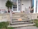 1200px-Seven_Cats_on_the_Front_Porch.jpg